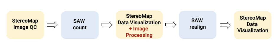 Figure 1. The workflow of Stereo-seq data analysis incorporating the manual image adjustment step